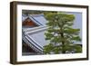 A Telephoto View Shows an Akamatsu Red Pine Tree Sculpted to Bonsai-Like Perfection, Komyo-Ji-Ben Simmons-Framed Photographic Print