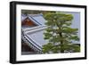 A Telephoto View Shows an Akamatsu Red Pine Tree Sculpted to Bonsai-Like Perfection, Komyo-Ji-Ben Simmons-Framed Photographic Print