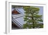 A Telephoto View Shows an Akamatsu Red Pine Tree Sculpted to Bonsai-Like Perfection, Komyo-Ji-Ben Simmons-Framed Photographic Print