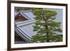 A Telephoto View Shows an Akamatsu Red Pine Tree Sculpted to Bonsai-Like Perfection, Komyo-Ji-Ben Simmons-Framed Photographic Print