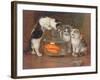 A Tempting Treat, 1900-Wilhelm Schwar-Framed Giclee Print