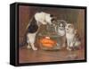 A Tempting Treat, 1900-Wilhelm Schwar-Framed Stretched Canvas