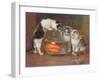 A Tempting Treat, 1900-Wilhelm Schwar-Framed Giclee Print