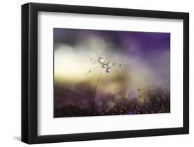 A Tender World-Heidi Westum-Framed Photographic Print