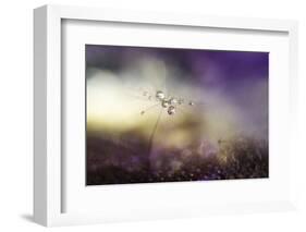 A Tender World-Heidi Westum-Framed Photographic Print