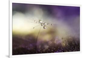 A Tender World-Heidi Westum-Framed Photographic Print