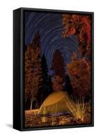 A Tent and Pine Trees Against a Backdrop of Star Trails-null-Framed Stretched Canvas