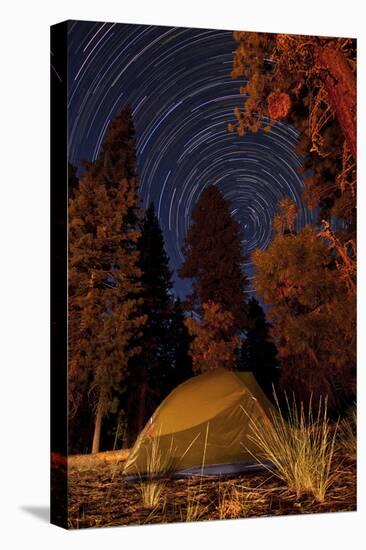 A Tent and Pine Trees Against a Backdrop of Star Trails-null-Stretched Canvas