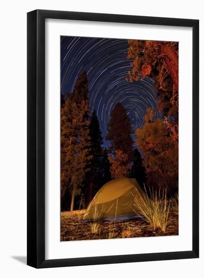 A Tent and Pine Trees Against a Backdrop of Star Trails-null-Framed Premium Photographic Print