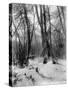 A Tepee in a Snow Covered Forest-E.S Curtis-Stretched Canvas