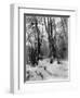 A Tepee in a Snow Covered Forest-E.S Curtis-Framed Photographic Print