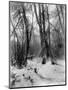 A Tepee in a Snow Covered Forest-E.S Curtis-Mounted Photographic Print