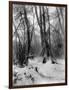 A Tepee in a Snow Covered Forest-E.S Curtis-Framed Photographic Print