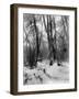 A Tepee in a Snow Covered Forest-E.S Curtis-Framed Photographic Print