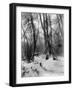 A Tepee in a Snow Covered Forest-E.S Curtis-Framed Photographic Print