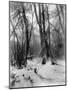 A Tepee in a Snow Covered Forest-E.S Curtis-Mounted Photographic Print