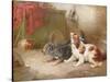 A Terrier and a King Charles Spaniel Scaring a Rat-George Armfield-Stretched Canvas