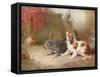 A Terrier and a King Charles Spaniel Scaring a Rat-George Armfield-Framed Stretched Canvas