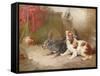 A Terrier and a King Charles Spaniel Scaring a Rat-George Armfield-Framed Stretched Canvas