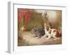 A Terrier and a King Charles Spaniel Scaring a Rat-George Armfield-Framed Giclee Print