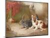 A Terrier and a King Charles Spaniel Scaring a Rat-George Armfield-Mounted Giclee Print