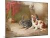 A Terrier and a King Charles Spaniel Scaring a Rat-George Armfield-Mounted Giclee Print