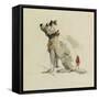 A Terrier, Sitting Facing Left (W/C on Paper)-Peter De Wint-Framed Stretched Canvas