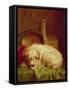 A Terrier-John Fitz Marshall-Framed Stretched Canvas