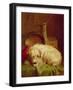 A Terrier-John Fitz Marshall-Framed Giclee Print