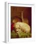 A Terrier-John Fitz Marshall-Framed Giclee Print