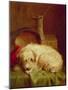 A Terrier-John Fitz Marshall-Mounted Giclee Print