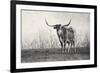 A Texas Longhorn-Debra Van Swearingen-Framed Photographic Print