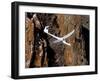 A TG-15A Glider Above Colorado Springs, Colorado-Stocktrek Images-Framed Photographic Print