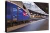 A Tgv Awaits Departure at Gare De L'Est in Paris, France, Europe-Julian Elliott-Stretched Canvas