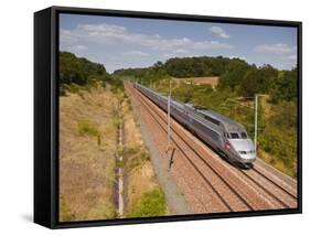 A Tgv Train Speeds Through the French Countryside Near to Tours, Indre-Et-Loire, Centre, France, Eu-Julian Elliott-Framed Stretched Canvas