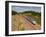 A Tgv Train Speeds Through the French Countryside Near to Tours, Indre-Et-Loire, Centre, France, Eu-Julian Elliott-Framed Photographic Print