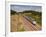 A Tgv Train Speeds Through the French Countryside Near to Tours, Indre-Et-Loire, Centre, France, Eu-Julian Elliott-Framed Photographic Print