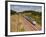 A Tgv Train Speeds Through the French Countryside Near to Tours, Indre-Et-Loire, Centre, France, Eu-Julian Elliott-Framed Photographic Print