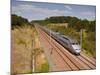 A Tgv Train Speeds Through the French Countryside Near to Tours, Indre-Et-Loire, Centre, France, Eu-Julian Elliott-Mounted Photographic Print