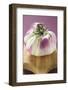 A Thai Aubergine on Chopping Board-Foodcollection-Framed Photographic Print