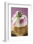 A Thai Aubergine on Chopping Board-Foodcollection-Framed Photographic Print