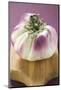 A Thai Aubergine on Chopping Board-Foodcollection-Mounted Photographic Print