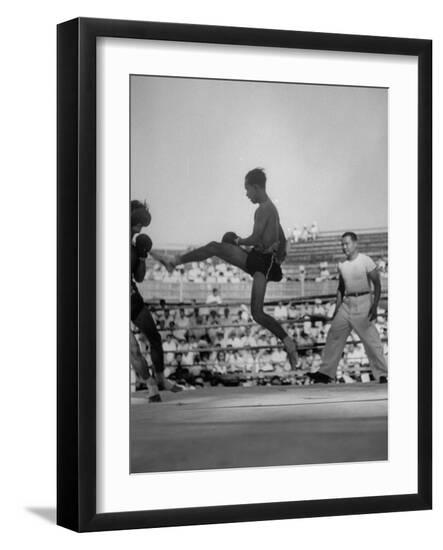 Photographic Print, , large