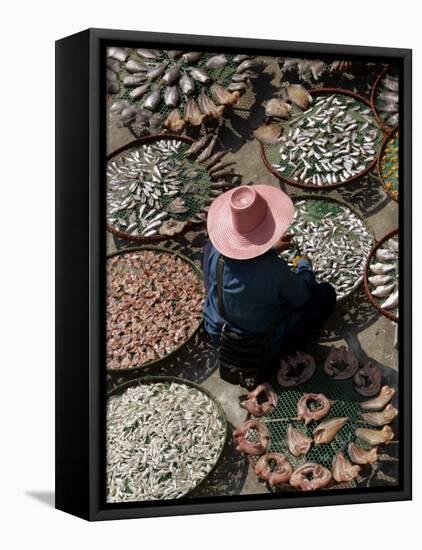 A Thai Woman Sells Dried Fish in Bangkok, Thailand, January 26, 2007-Apichart Weerawong-Framed Stretched Canvas