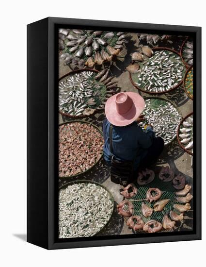 A Thai Woman Sells Dried Fish in Bangkok, Thailand, January 26, 2007-Apichart Weerawong-Framed Stretched Canvas