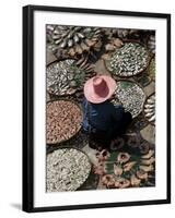 A Thai Woman Sells Dried Fish in Bangkok, Thailand, January 26, 2007-Apichart Weerawong-Framed Photographic Print