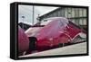 A Thalys High Speed Train Awaits Departure at Gare Du Nord Railway Station, Paris, France, Europe-Julian Elliott-Framed Stretched Canvas