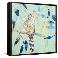 A Thoughtful Wattlebird-Trudy Rice-Framed Stretched Canvas