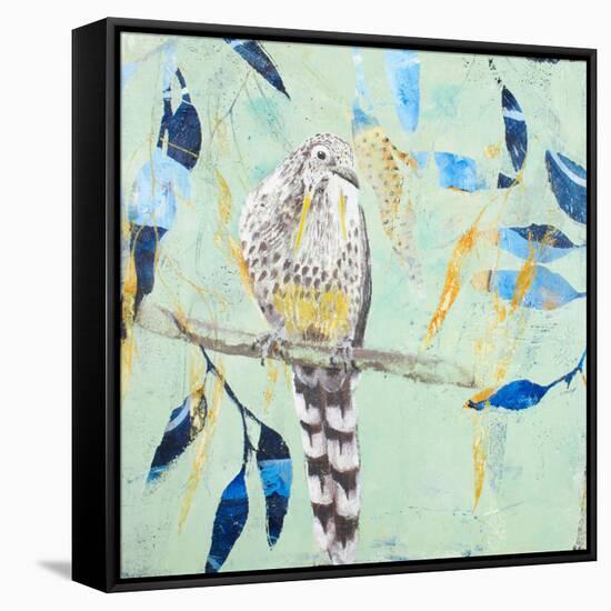 A Thoughtful Wattlebird-Trudy Rice-Framed Stretched Canvas