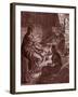 A Thousand and One-Thomas Dalziel-Framed Giclee Print